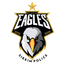 Black Eagle SAP Flag
