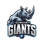 Guwahati Giants Flag