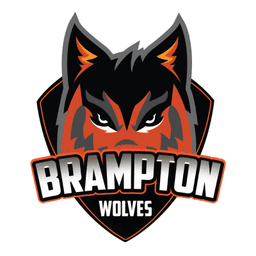Team logo